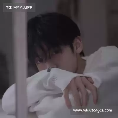 梅鹃仪